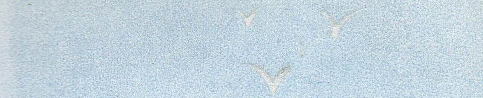 Sarah Bays Original Prints