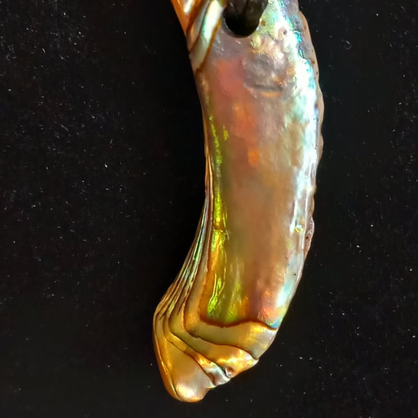 Paua Shell necklace on adjustable waxed cotton cord