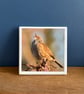 Singing Dunnock Bird Ceramic Coaster 
