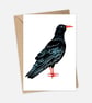 Cornish Chough Greeting Card - Cornwall Cards - Image 2