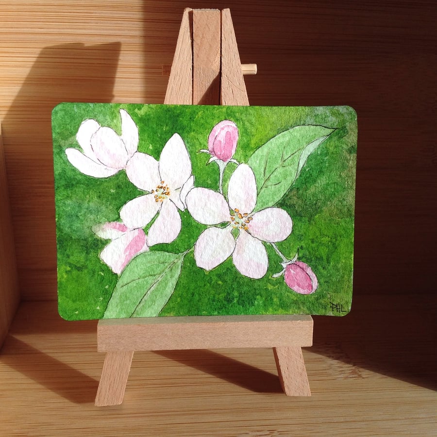 ACEO Original Apple Blossom watercolour