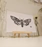 Death Moth in Black - Original Lino Print - Image 1