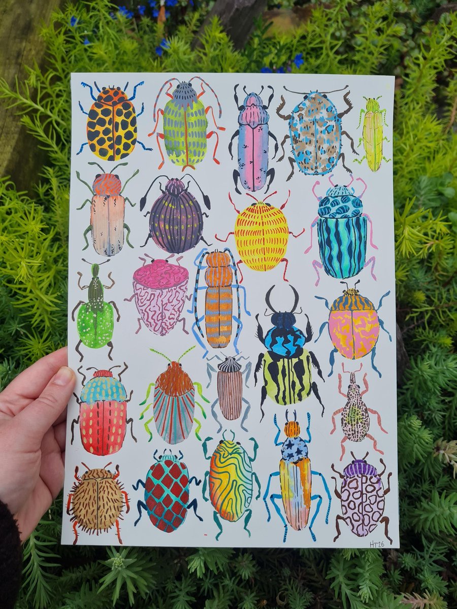 Hand painted watercolour colourful funky bugs art