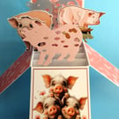 Birthday Card With Pigs