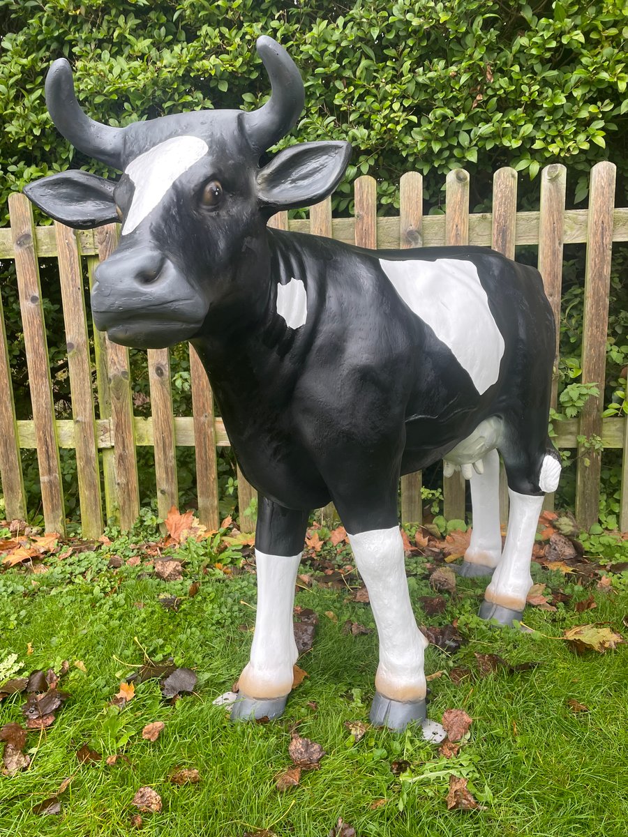 Large Fibreglass Cow Sculpture in Black & White