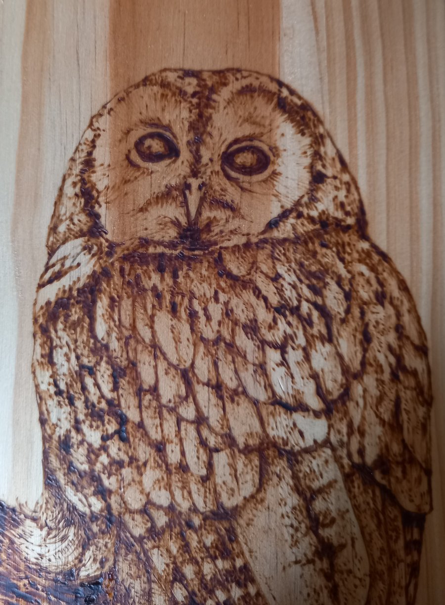 Pyrography large & long Tawny Owl wooden board decoration or chopping board