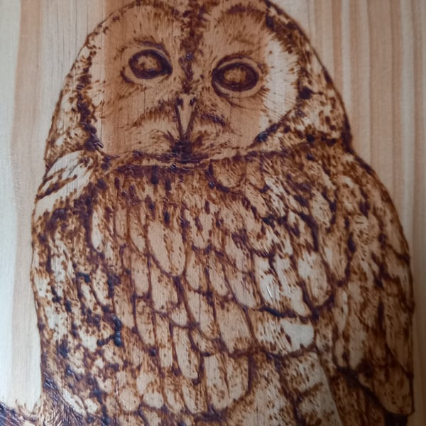 Pyrography large & long Tawny Owl wooden board decoration or chopping board