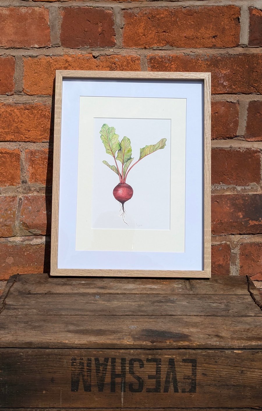 Framed beetroot print 
