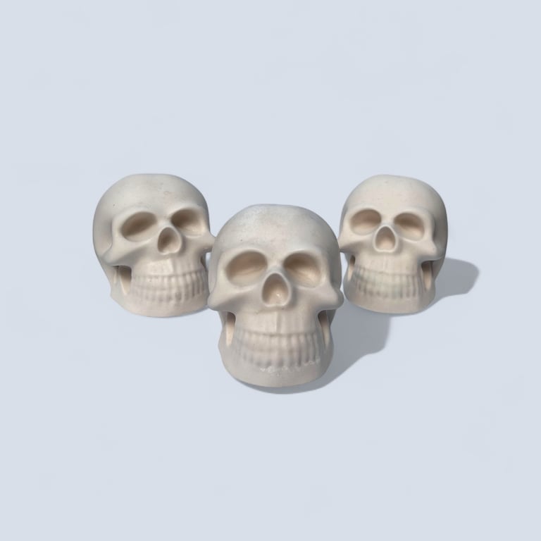 White Skull - Macabre Halloween Decoration Suitable for Painting