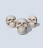 White Skull - Macabre Halloween Decoration Suitable for Painting - Image 3