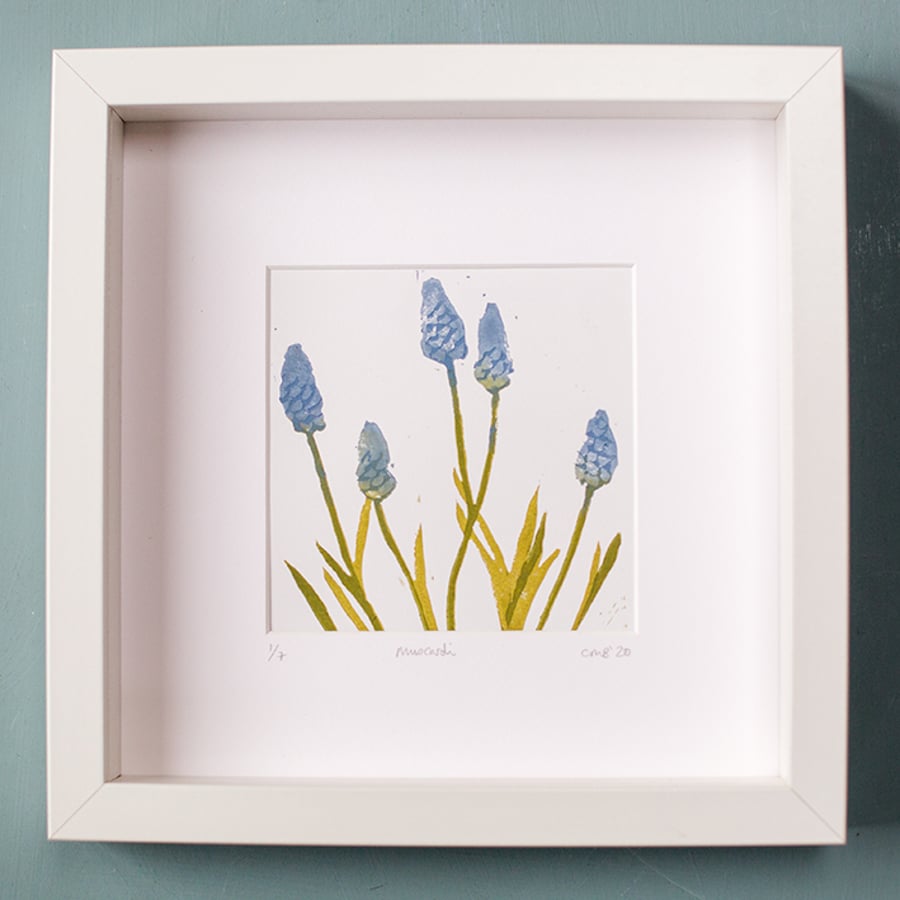 20x20 Grape Hyacinths - Original Lino Print