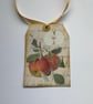 GIFT TAGS  ( set of 3 ) .Vintage -style  'Botanical Fruit . - Image 2