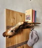 Live edge wooden floating shelf