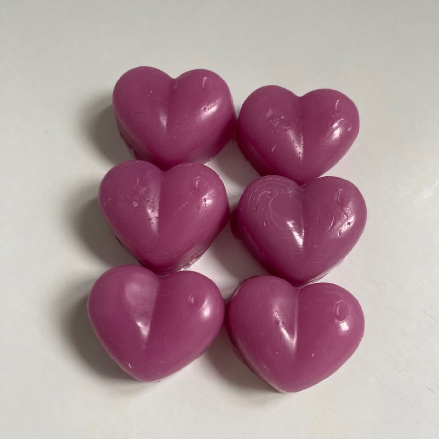 ice angel scented wax melts (6 in a pack)