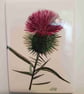 Thistle fridge magnets - Image 2