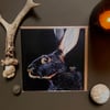 The Belgian Hare Blank Greeting Card