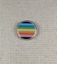 Queer Flag Pin - Pride Themed Badge - Large Resin Topped Pin Badge