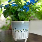 Hand doodled mini flower pot