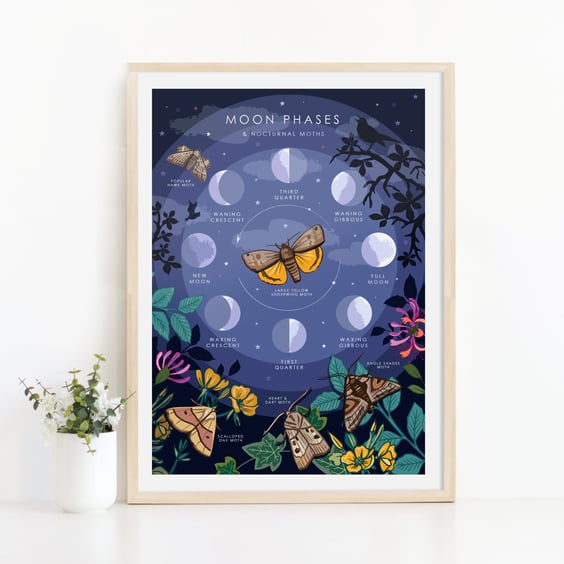 Moon Phases & Nocturnal Moths Illustration Print