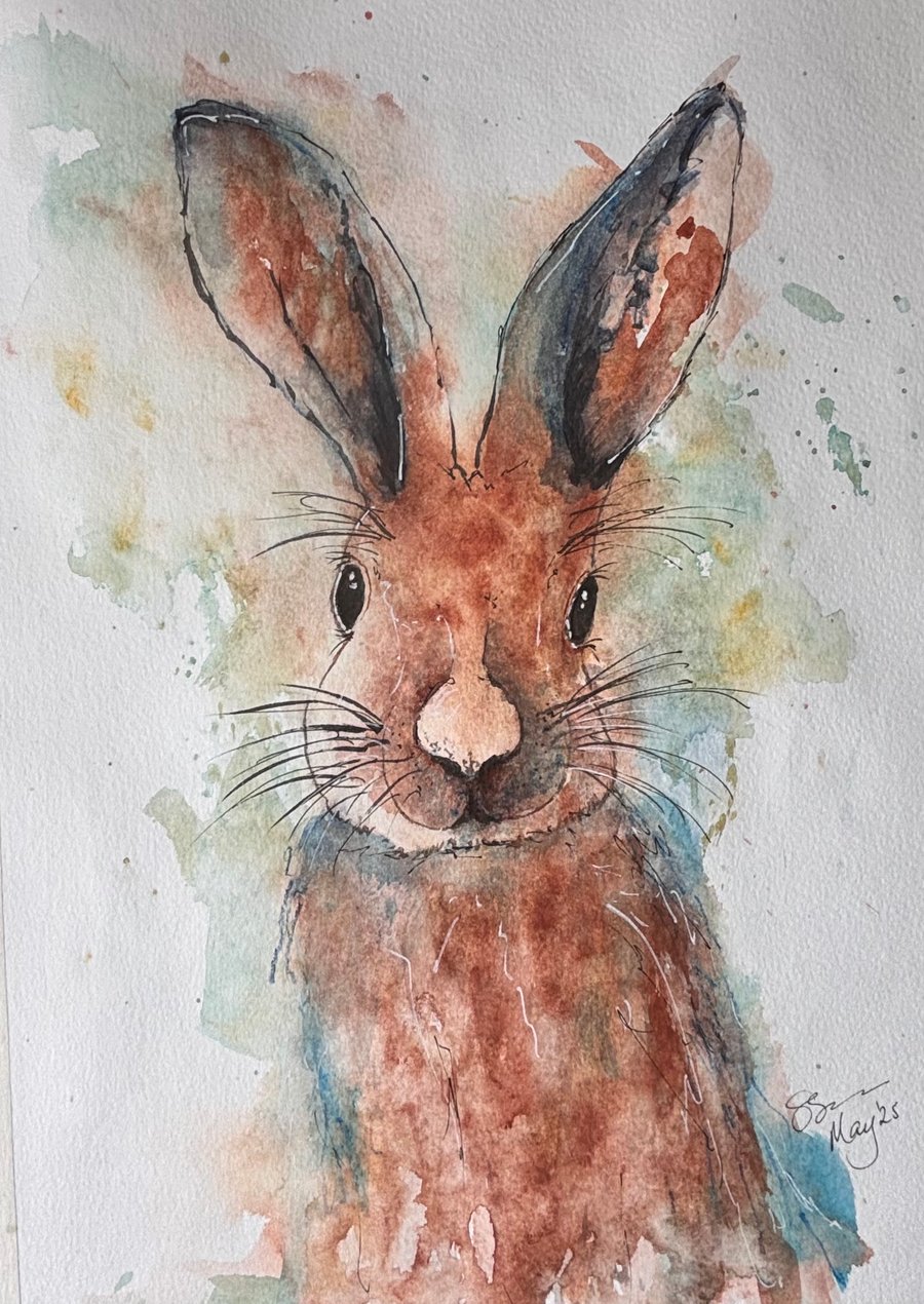 Hare today … gone tomorrow 