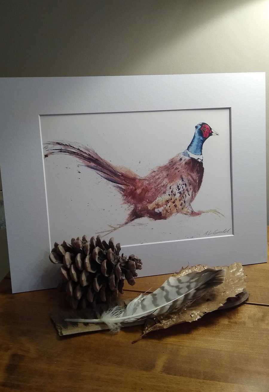 Mounted A4 or A3 signed Art Print, Running Pheasant 