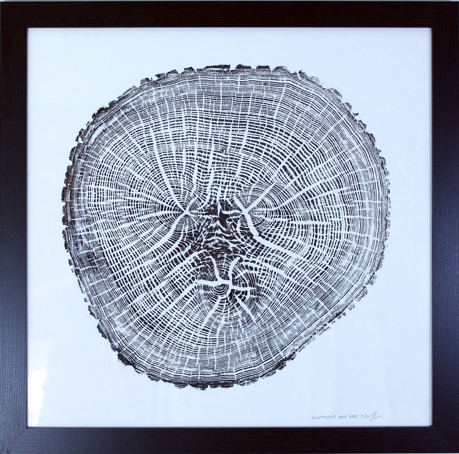 Allotment Ash - Black Tree Ring art large contemporary print