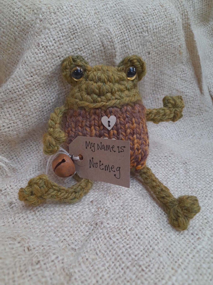 Nutmeg the Frog - A Cosy Little Handknitted Companion