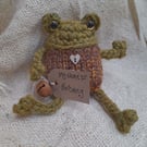 Nutmeg the Frog - A Cosy Little Handknitted Companion