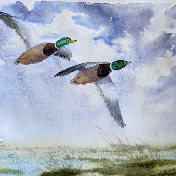 Duck! 