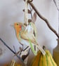 Robin and Snowdrop Wooden Hanging Decoration - Image 9