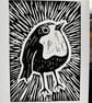 Robin - Image 2