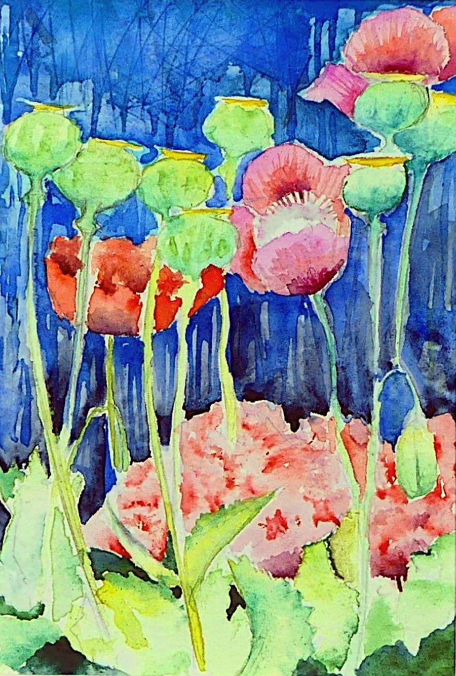 Framed Mixed Poppies Original Watercolour Painting
