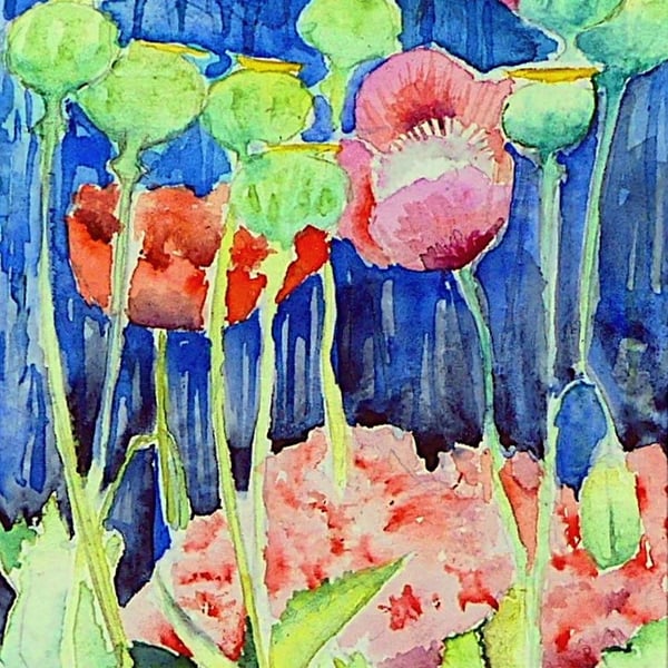 Framed Mixed Poppies Original Watercolour Painting