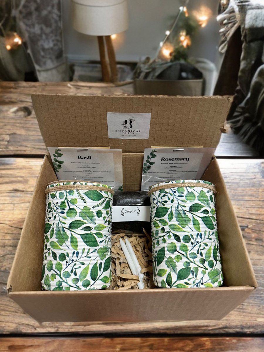 Nature leaf Handmade Recycled Eco-Friendly Indoor Kitchen Herb Gift Set