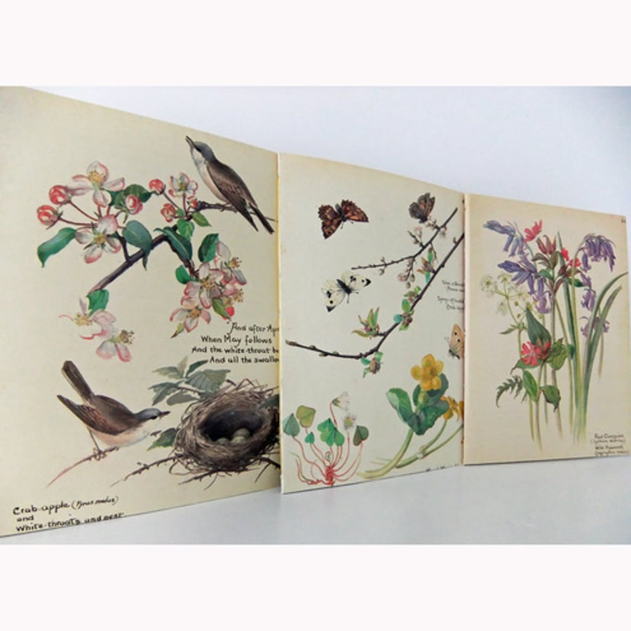 Set of 3 hand-sewn notebooks / journals made from The Country Diary of an Edwardian Lady 