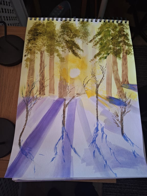 Snow woodland winter sun 