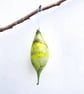 Green Blown Glass Bauble Decoration