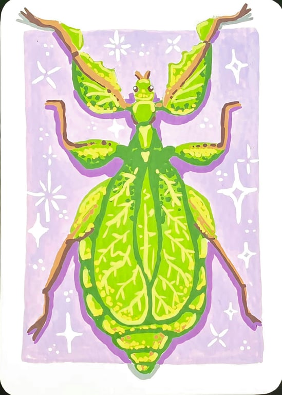 Leaf Insect - Entemology - ACEO