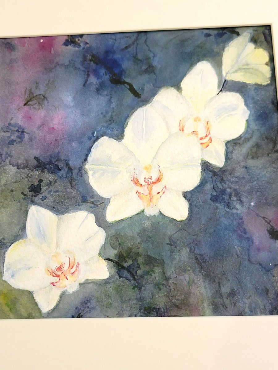 original watercolour painting. Orchids in watercollour and acrylic inks.