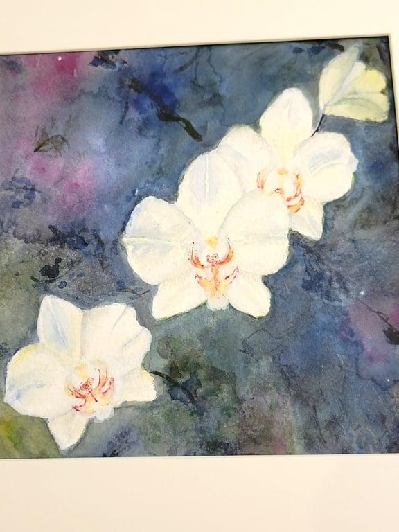 original watercolour painting. Orchids in watercollour and acrylic inks.