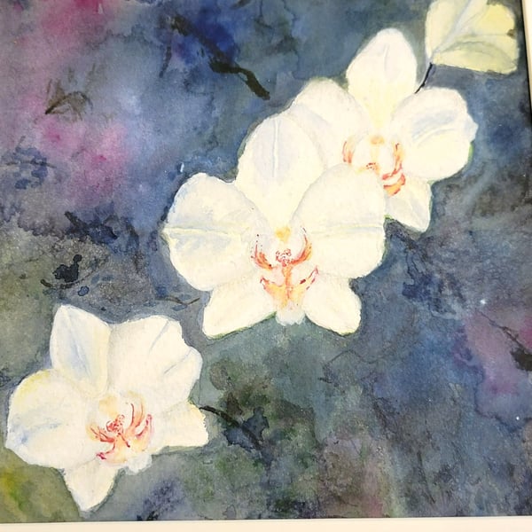 original watercolour painting. Orchids in watercollour and acrylic inks.