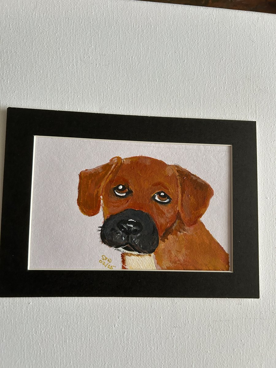 Puppy portrait original painting 5x7" 