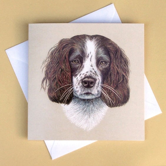 Greetings Card - Blank - Springer Spaniel Dog Portrait