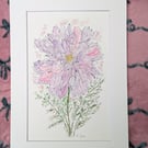 Cosmos hand-painted original watercolour painting A4 mounted