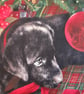 Black Labrador Puppy under Christmas tree cushion - Image 3