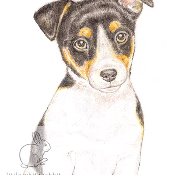 Jack the Jack Russell - Mother's Day Card
