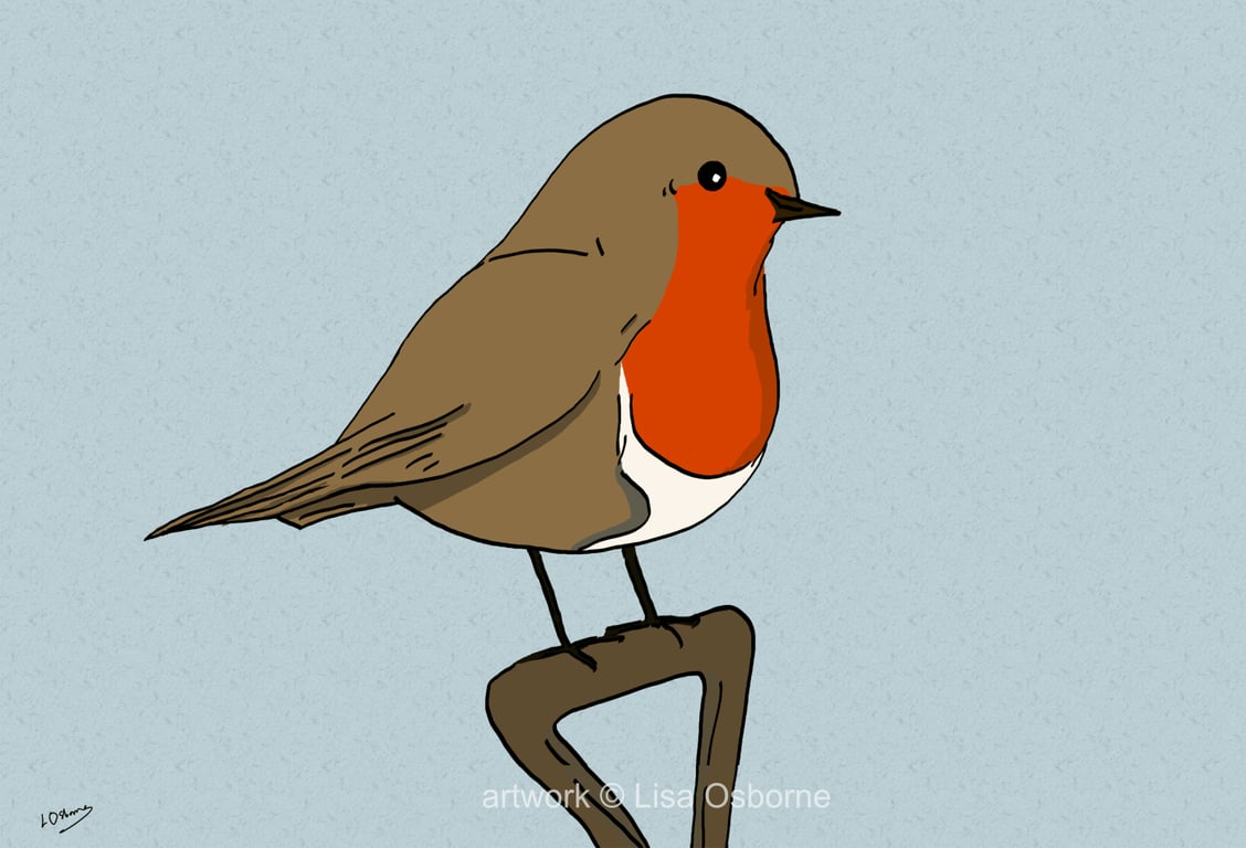 Robin - bird art print - garden birds