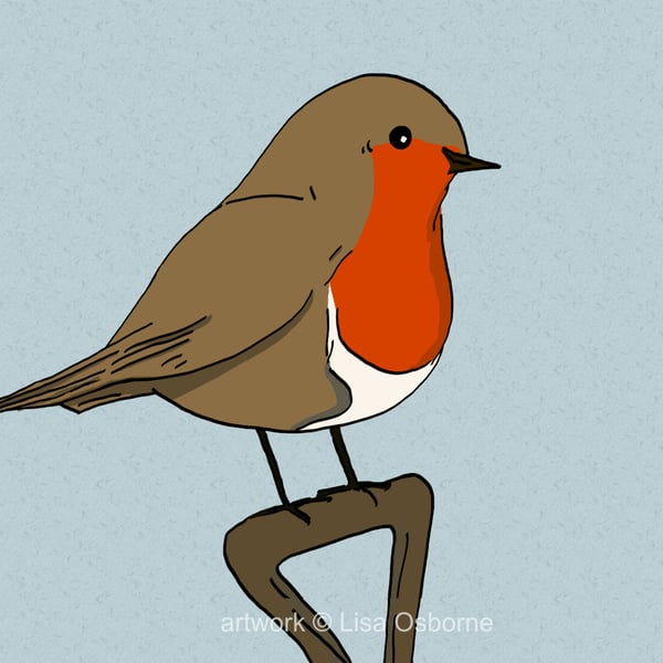 Robin - bird art print - garden birds