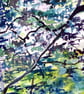  Framed Landscape Impressionist Watercolour Painting River Walk In Summer - Image 4