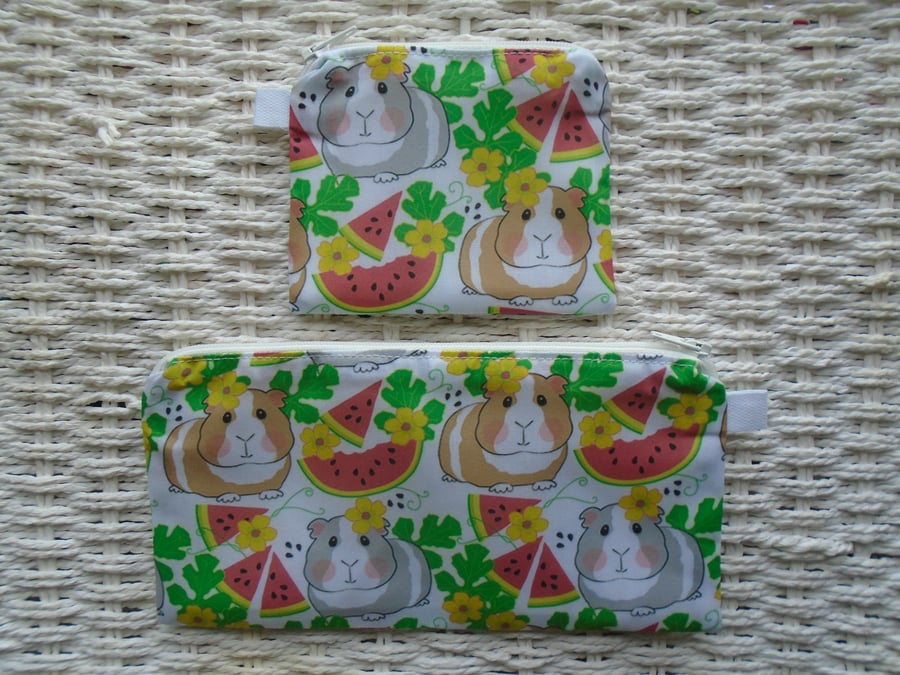 Watermelon & Guinea Pigs Pencil Case & Purse Gift Set 
